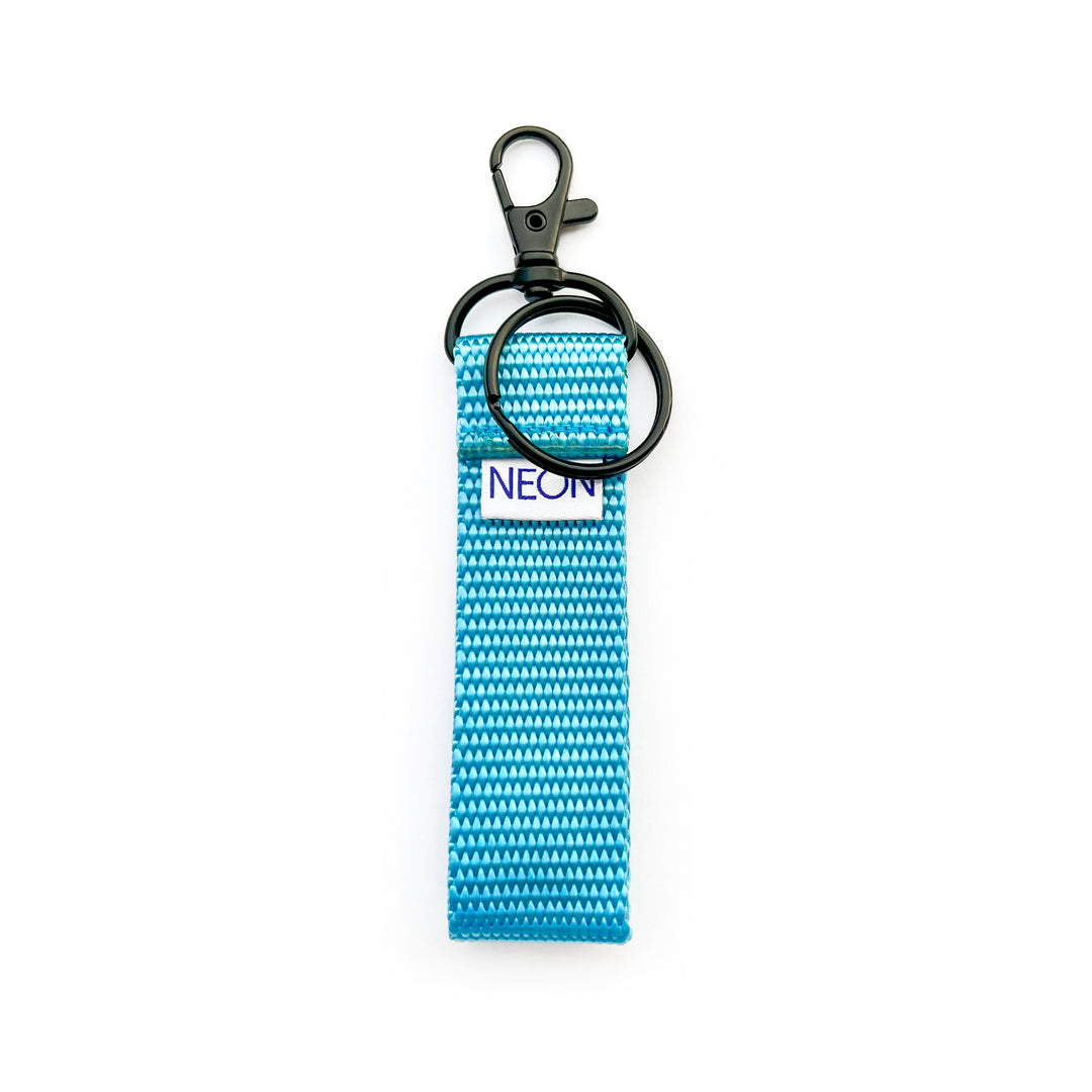 Clip-on Keychain | sky blue