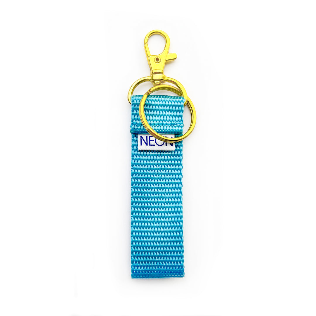 Clip-on Keychain | sky blue