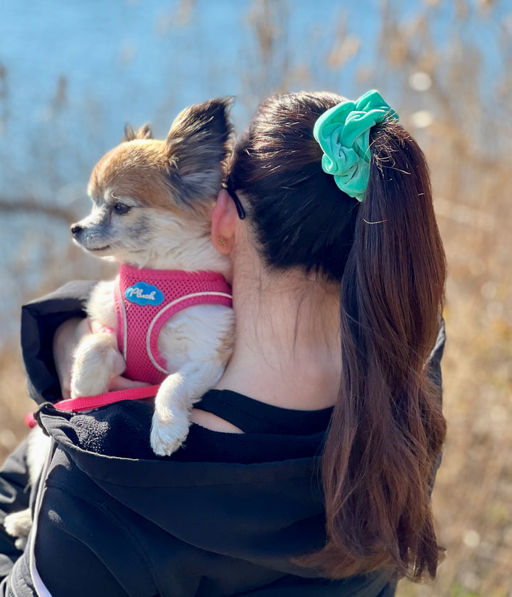 Luxe Velvet Scrunchie | seafoam