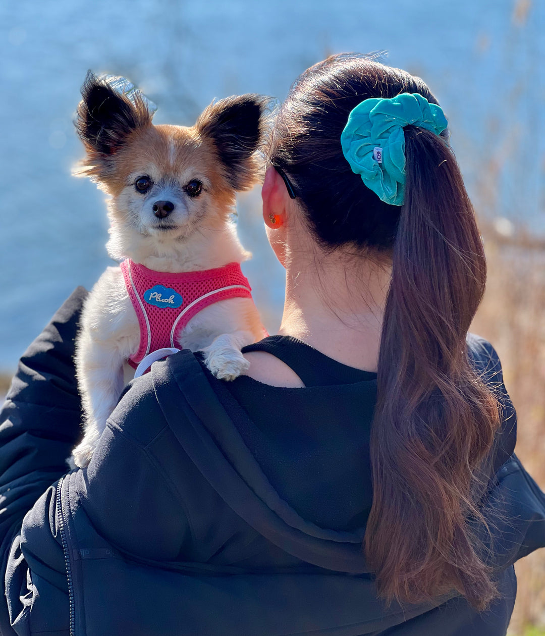 Luxe Velvet Scrunchie | turquoise